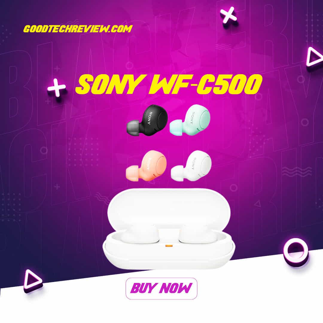 Sony WF-C500
